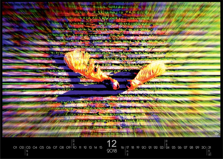 012-dezember-2018 012-dezember-2018
